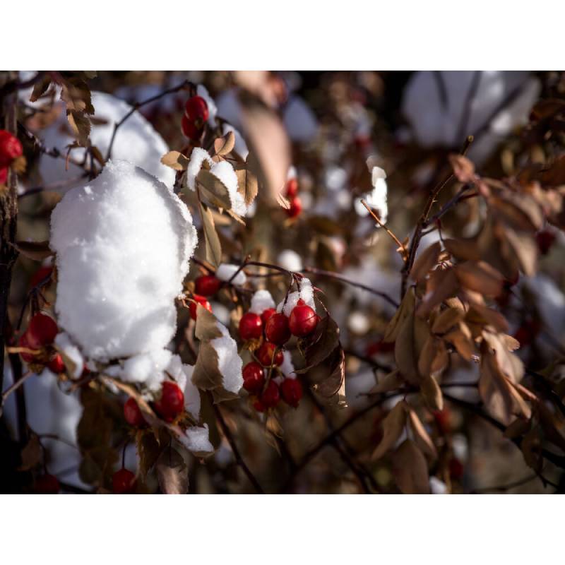 Hasselblad ND8 Filter by  in  - EC MALL