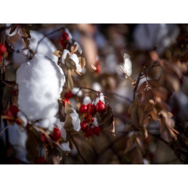 Hasselblad ND8 Filter by  in  - EC MALL