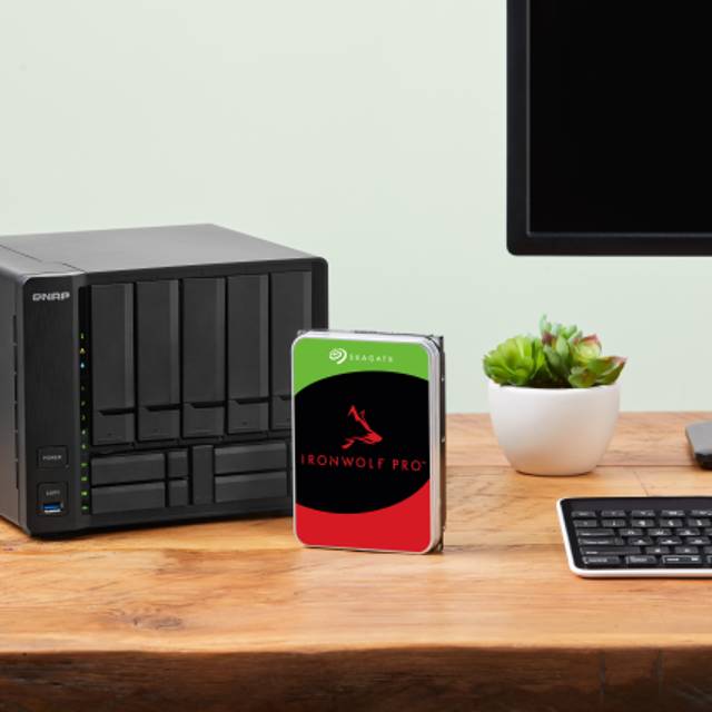 Seagate IronWolf Pro 16TB (ST16000NT001) by  in  - EC MALL