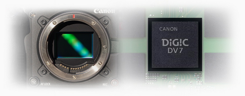 Canon EOS C50 Cinema Camera by  in  - EC MALL