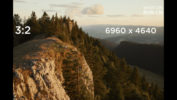 Canon EOS C50 Cinema Camera by  in  - EC MALL