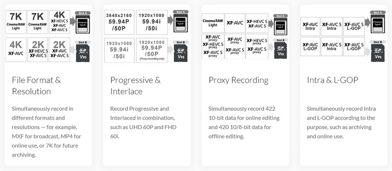 Canon EOS C50 Cinema Camera by  in  - EC MALL