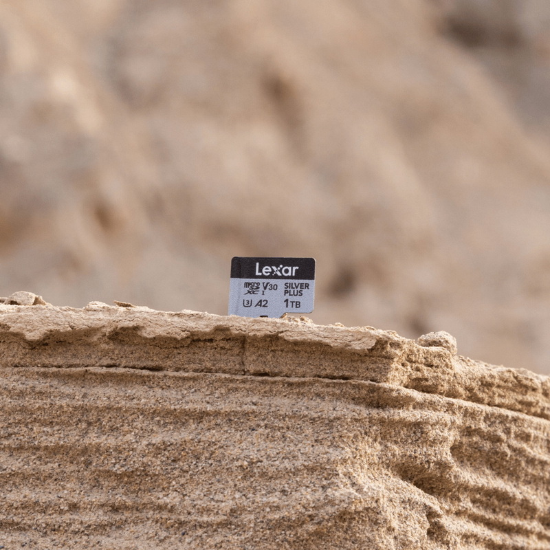 Lexar Professional SILVER PLUS microSDXC UHS-I Card (205MB/s_150MB/s) by  in  - EC MALL