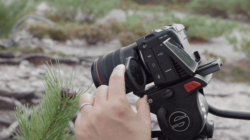 Canon RF 7-14mm f/2.8-3.5 L Fisheye STM Lens by  in  - EC MALL