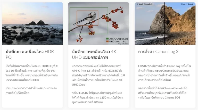 Canon EOS R7 Mirrorless Camera by  in  - EC MALL