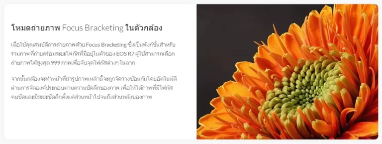 Canon EOS R7 Mirrorless Camera by  in  - EC MALL