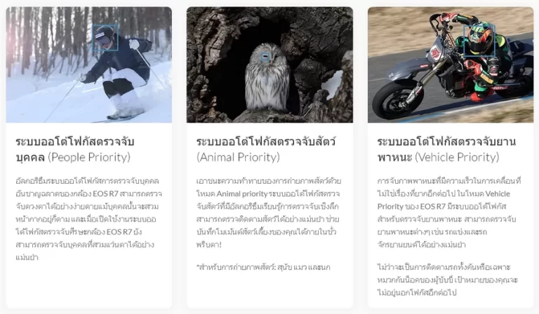 Canon EOS R7 Mirrorless Camera by  in  - EC MALL