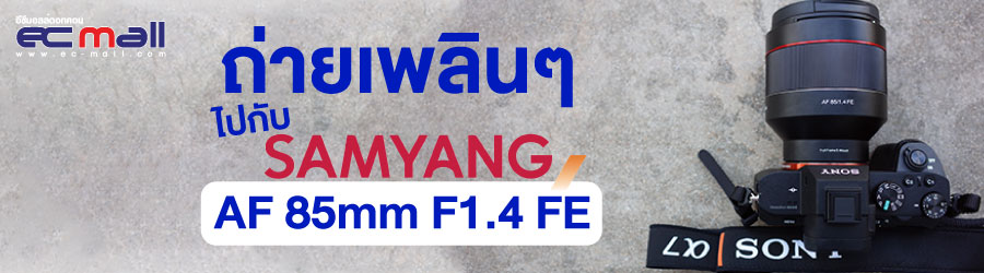 ถ่ายเพลินๆ ไปกับ  Samyang AF 85mm F1.4 FE