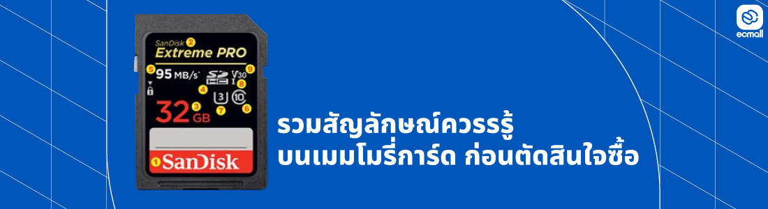Memory Card : เล็กแต่สำคัญ จัดการเมมโมรี่การ์ดอย่างมืออาชีพ