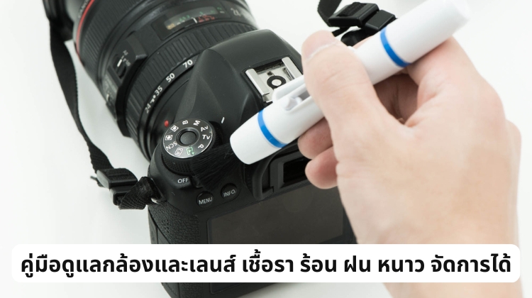 คู่มือดูแลกล้องและเลนส์ เชื้อรา ร้อน ฝน หนาว จัดการได้