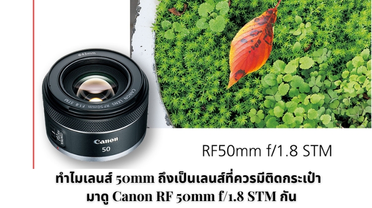 ทำไมเลนส์ 50mm ถึงเป็นเลนส์ที่ควรมีติดกระเป๋า – มาดู Canon RF 50mm f/1.8 STM กัน
