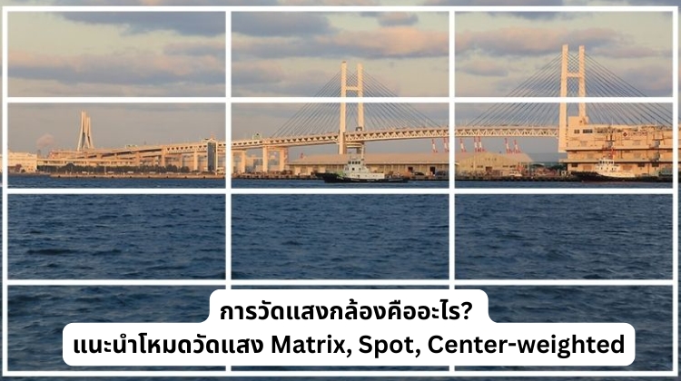 การวัดแสงกล้องคืออะไร? แนะนำโหมดวัดแสง Matrix, Spot, Center-weighted