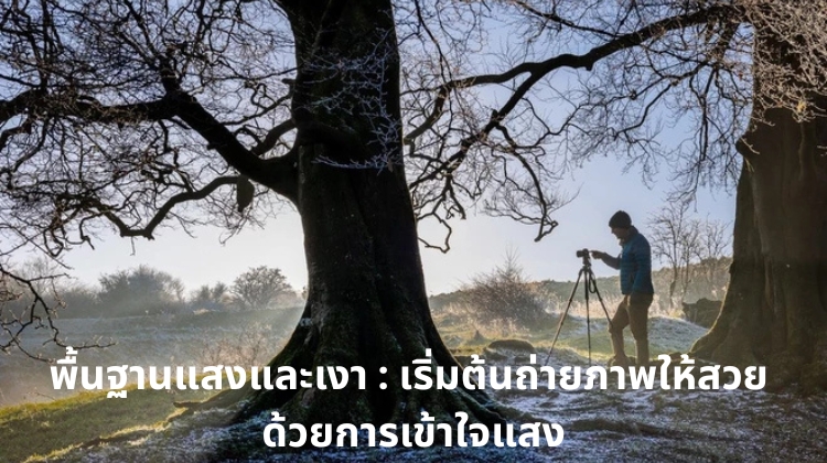 พื้นฐานแสงและเงา : เริ่มต้นถ่ายภาพให้สวย ด้วยการเข้าใจแสง