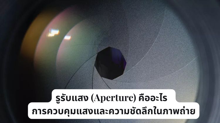 รูรับแสง (Aperture) คืออะไร : การควบคุมแสงและความชัดลึกในภาพถ่าย