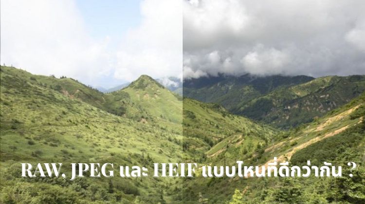 RAW, JPEG และ HEIF แบบไหนที่ดีกว่ากัน ?