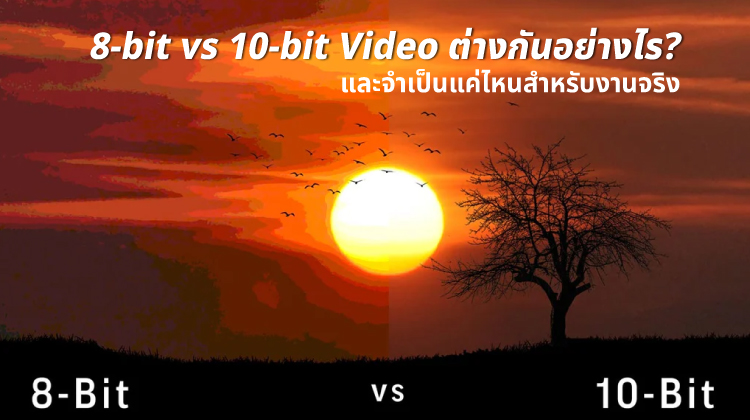 10-bit vs 8-bit Video ต่างกันอย่างไร? และจำเป็นแค่ไหนสำหรับงานจริง