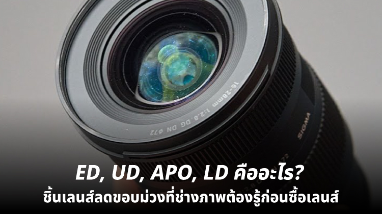 ED, UD, APO, LD คืออะไร? ชิ้นเลนส์ลดขอบม่วงที่ช่างภาพต้องรู้ก่อนซื้อเลนส์