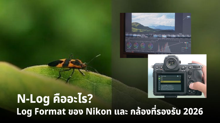 N-Log คืออะไร? Log Format ของ Nikon และกล้องที่รองรับ 2026