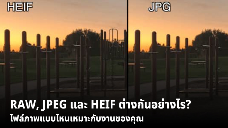 RAW, JPEG และ HEIF ต่างกันอย่างไร? ไฟล์ภาพแบบไหนเหมาะกับงานของคุณ