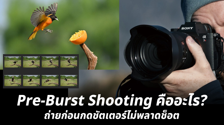 Pre-Burst Shooting คืออะไร? ถ่ายก่อนกดชัตเตอร์ไม่พลาดช็อต