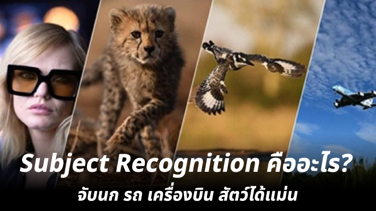 Subject Recognition คืออะไร? จับนก รถ เครื่องบิน สัตว์ได้แม่น