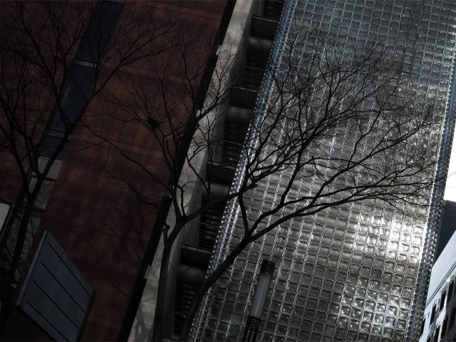 Sigma 30mm f1.4 DC DN-Ex1