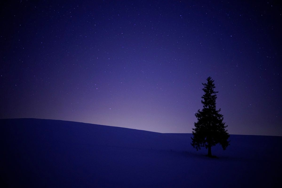 Photo Gallery Sony Planar T FE 50mm f1.4 ZA 1.4 ZA 10