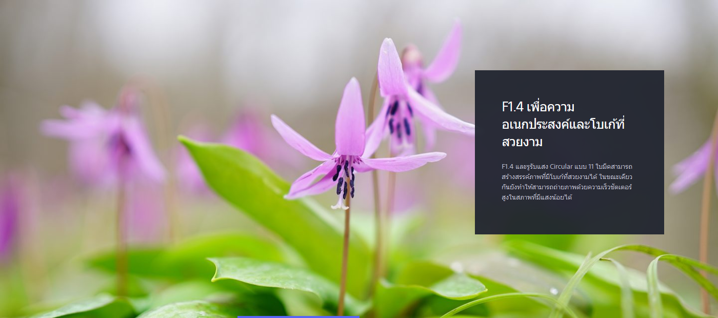 Sony Planar T FE 50mm f1.4 ZA 1.4 ZA 3