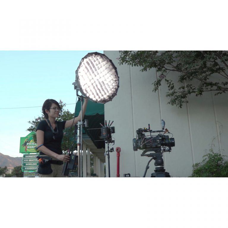 Aputure Light Storm LS C120D II LED Light Kit with V-Mount Battery Plate - Image 15