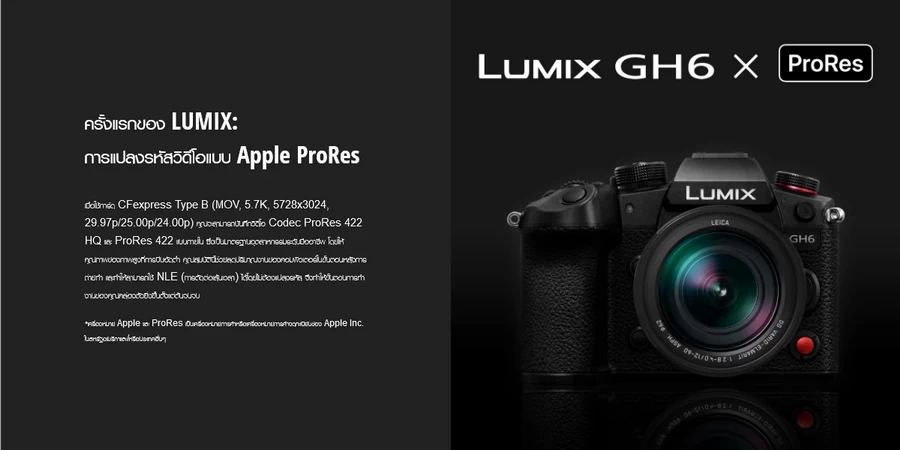 Panasonic Lumix DC-GH6-Detail7