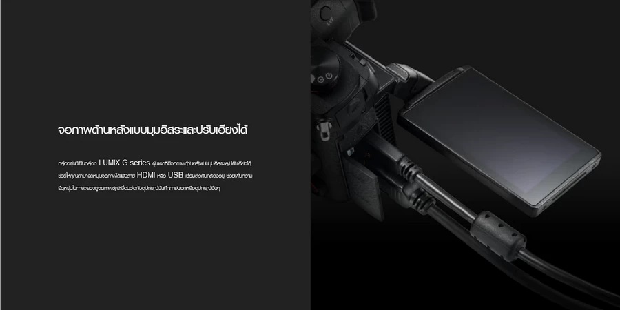 Panasonic Lumix DC-GH6-Detail9