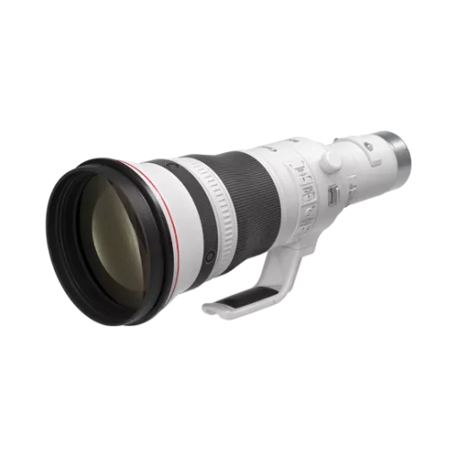 Canon RF 800mm f/5.6 L IS USM