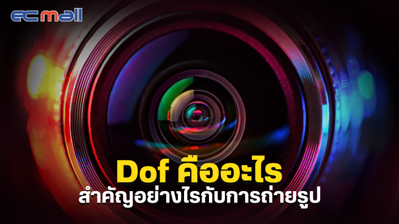 dof คืออะไร