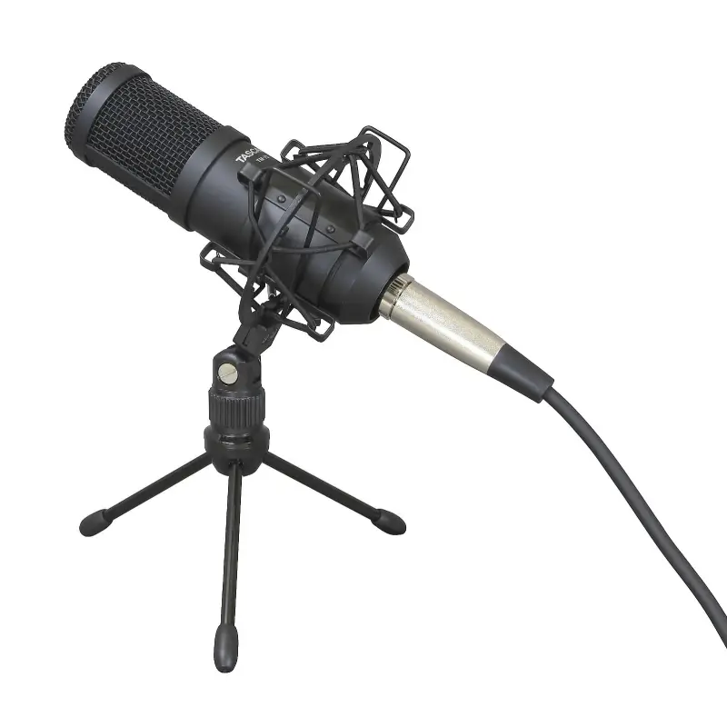 Tascam TM-70 Dynamic Microphone for Podcasting and News Gathering-Description4