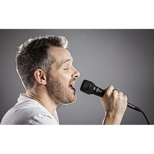 Tascam TM-82 Dynamic Microphone for Vocals and Instruments-Description4