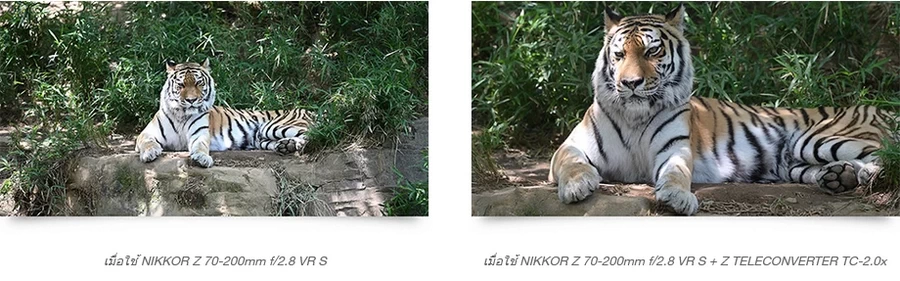 Nikon Z Teleconverter TC-2.0X Lens-Detail2