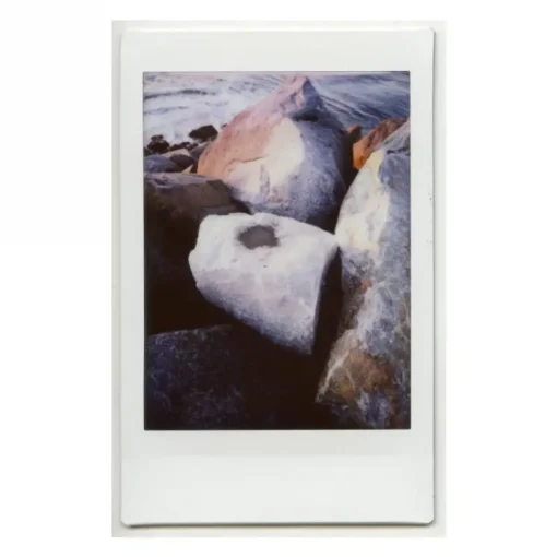 Lomography Lomo'Instant Automat Glass Model Serengeti-Detail15