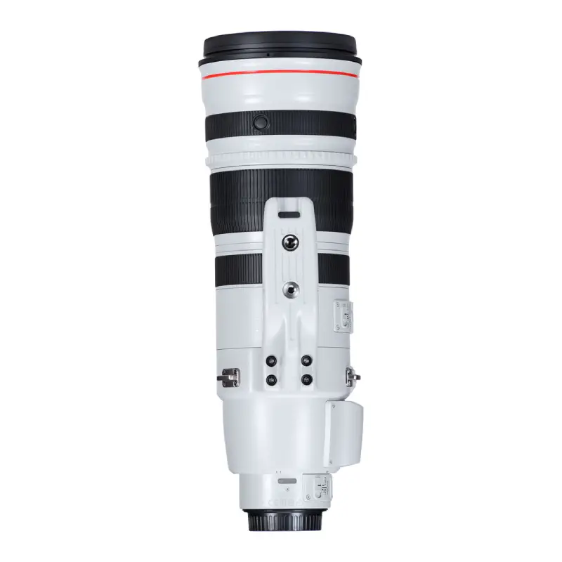 Canon EF 200-400mm f4L IS USM Extender 1.4x-Detail3