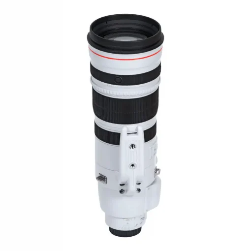 Canon EF 200-400mm f4L IS USM Extender 1.4x-Detail8