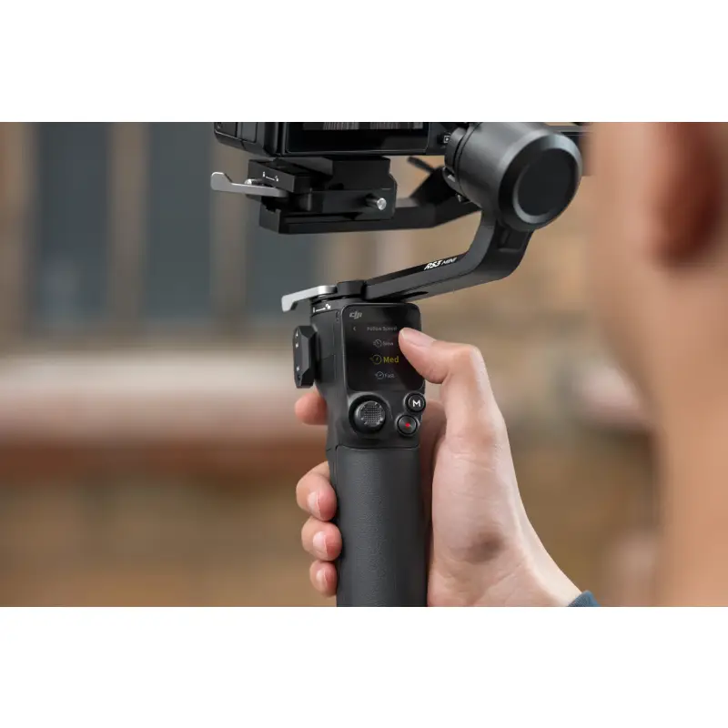Gimbal cheap dji mini