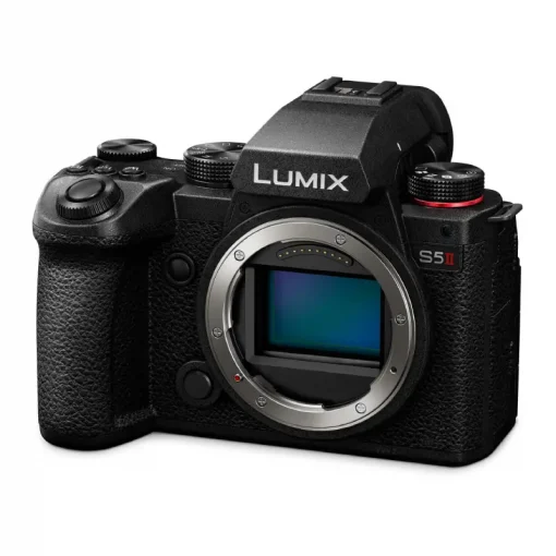 Panasonic Lumix DC-S5 II-Detail9