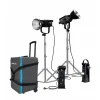 Nanlite Forza 300 LED 2-Monolight Kit-Detail1