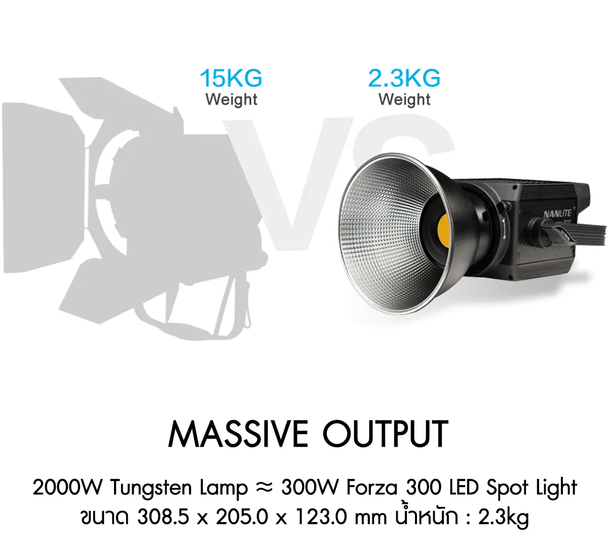 Nanlite Forza 300 LED 2-Monolight Kit-Des2