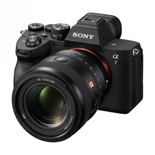 Sony FE 50mm f1.4 GM-Detail11