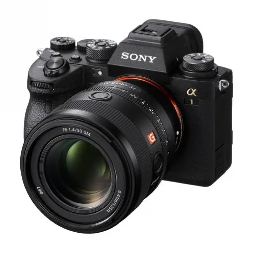 Sony FE 50mm f1.4 GM-Detail9
