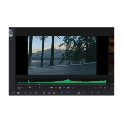 Blackmagic Design DaVinci Resolve Studio-Detail7