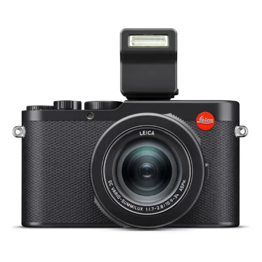 Leica D-Lux 8-Detail4