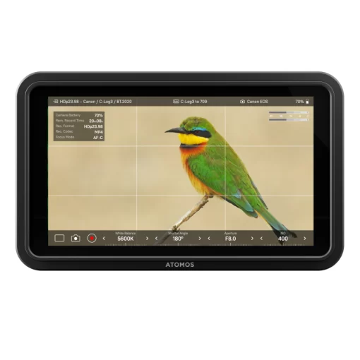 Atomos Shinobi II Monitor - Image 3