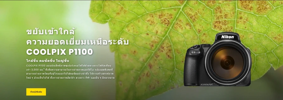 Nikon COOLPIX P1100-Des1