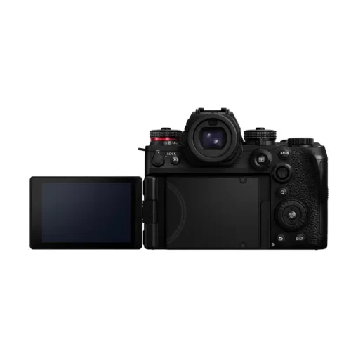 Panasonic Lumix DC-S1RII-Detail6